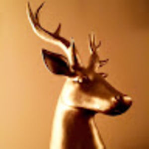 Meet your Posher, Glenn